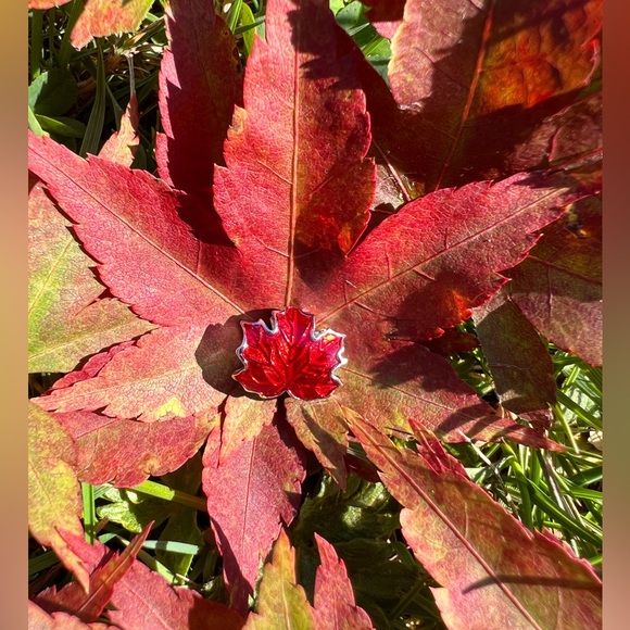 Maple /Canada /Autumn /Charm /Fits on Pandora bracelet or necklace silver 925 - Picture 5 of 8